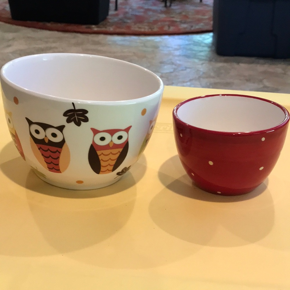 Pier 1 Bowls Hand Painted Earthenware Owl Bowl & Red Bowl